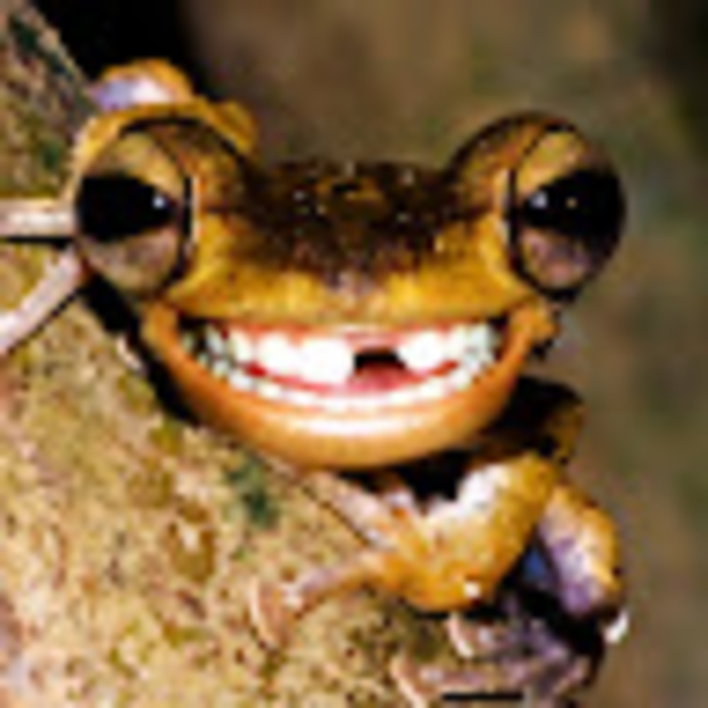 Meet your Posher, Average